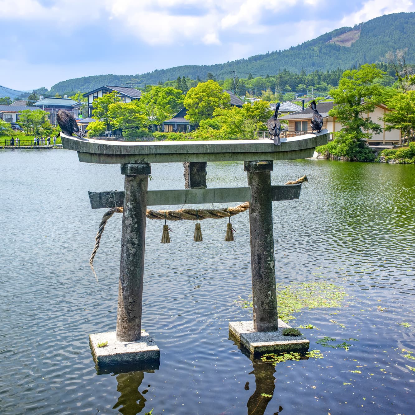 湯布院金鱗湖